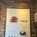 뚜쥬루거북이점 이미지