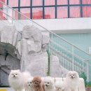 2Do (2도) 네이버블로그