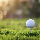 (주)앱플러스 이미지