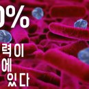 미세플라스틱은 어떻게 인체 방어 시스템을 우회하는가? 이미지