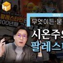 이스라엘과 팔레스타인의 갈등의 역사 | [몰아보기] 이미지