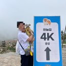 미소댕댕 | 2025 댕댕트레킹 후기 및 반려동물 동반 가능 식당 추천, 숙소추천, 트레킹 코스 추천