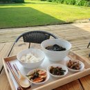 힐링디톡스