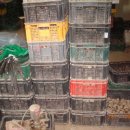 종구농장 이미지