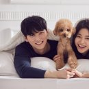 원앙옷수선