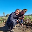 정진수농장 이미지