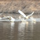 용포마을 이미지