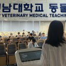 전형팔농장 데일리벳
