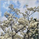 (주)천마산강장어 이미지