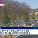 에메랄드 JTBC