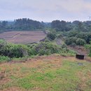 좌가연대 이미지