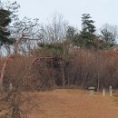 유복립 묘 이미지