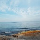 속초바다야 이미지