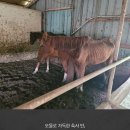 천지2목장 이미지