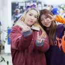 용인실내체육관 이미지