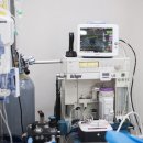 강북동물병원 이미지