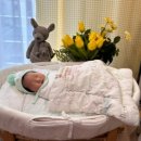 나리여성병원 이미지