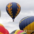 fiesta 이미지