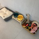 문장로-4 | 상주 뷰맛집 애견독채펜션 추천 월월애견펜션 내돈내산 후기