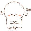 도쿄마이센비바세이지아가타 이미지