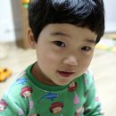 시골양념통닭 Daum카페