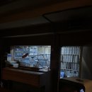 쉼이필요할때 | [대구 동성로] 하이마트 음악감상실 | 레트로 감성 낭만 충전 쉼이 필요할 때 LP 카페 (혼자 방문 후기)