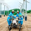 한빛 태양광1호 태양광발전소 이미지