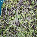 종근목장 이미지