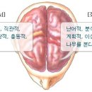 좌뇌형, 우뇌형 테스트 이미지