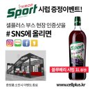 셀플러스스튜디오 이미지