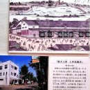 사계 돌담숲 | 오사카에서 출발해 일본 성곽의 역사와 사계의 절경을 만나는 하루! “와카야마성 완벽 탐방기 – 천년...