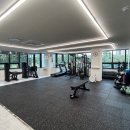 모두온핏 이미지