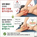 어깨통증·골프엘보·테니스엘보가 반복된다면? 이미지