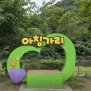 [125차]방태산 아침가리골(계곡트래킹) 정기 산행 이미지