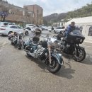 팀샤이안 봄인데... 봄인데.....투어 (feat. 아리님 사진) 이미지