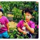 만석군농장 이미지