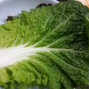 새만동식당 이미지