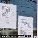 136 | 익산 베로파스타 맛집 섬섬식탁 양식 스테이크 샐러드까지 완벽한 데이트 장소