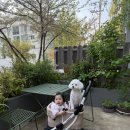 아기애견 | 부천 파스타 맛집 디몰토 원종점 애견,아기동반 후기