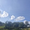 다정한 농장 이미지