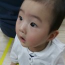 로아홀릭