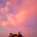 산수장 이미지