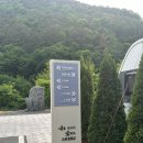 숲 펜션&캠핌장 이미지