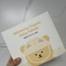 8개월 아기 육아템 추천 l 걸음마 시기 머리쿵 방지템, 베베콩 오가닉 아기헬멧 (+내돈내산 솔직후기)