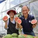 김동규농장 이미지