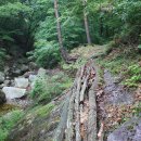 구수골로 Daum카페