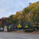 대화토지보상