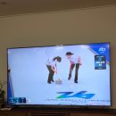 (주)이노바이오써지 부산동부지점 | 2026년 2월 하반기