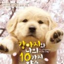 강아지와 나 네이버블로그