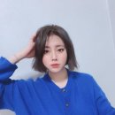 브릿지엘